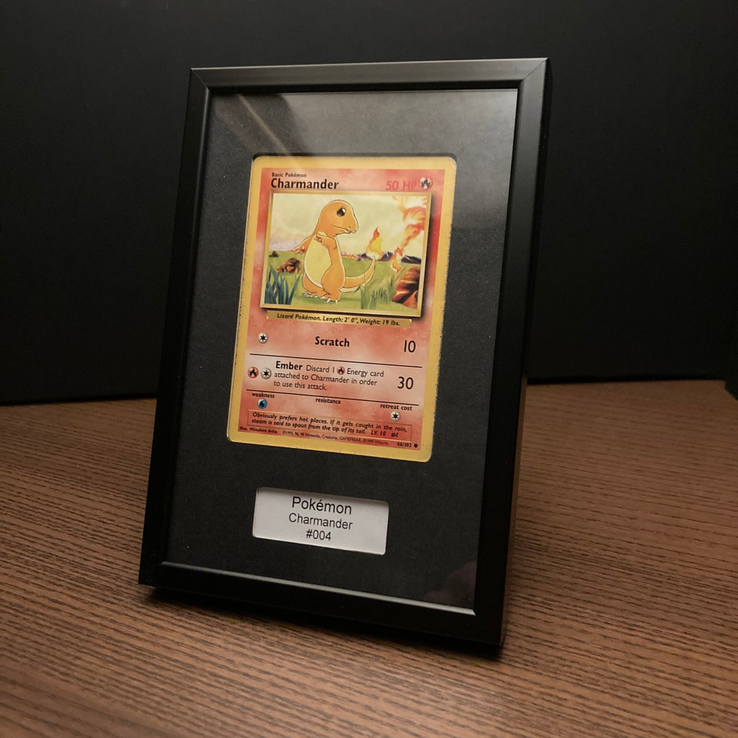 Pokemon Ungraded Display - Portait