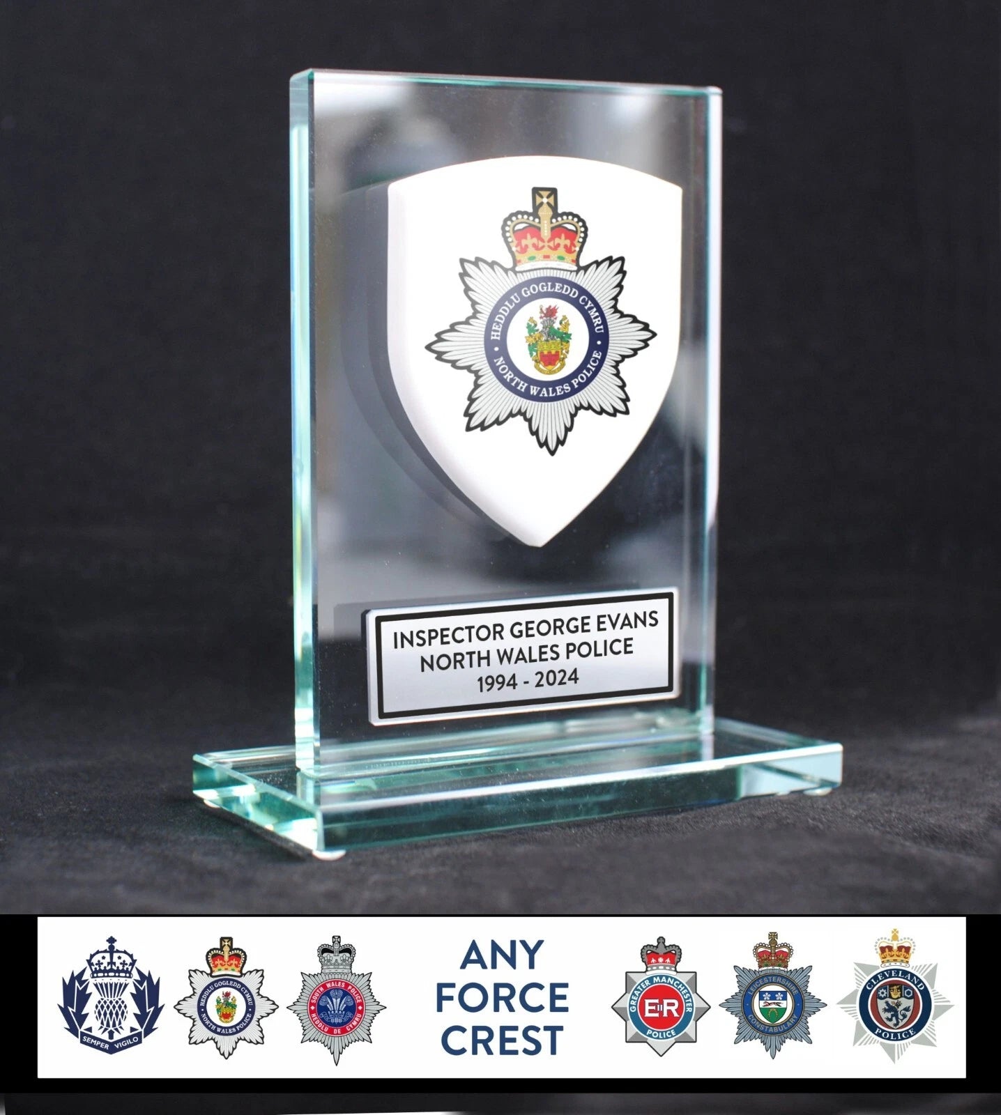 Police/Fireman/Ambulance Service Award Plaque